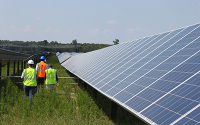 workers stand near a solar panel in a field