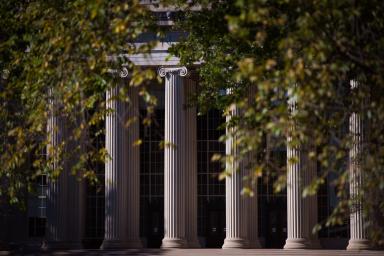 building columns framed by green leaves